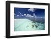 Tropical Lagoon and Coral Reef, Baa Atoll, Maldives, Indian Ocean, Asia-Sakis Papadopoulos-Framed Photographic Print