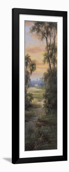 Tropical Lagoon I-Montoya-Framed Art Print