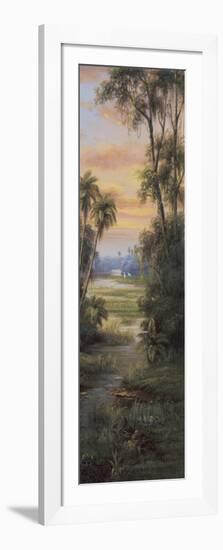 Tropical Lagoon I-Montoya-Framed Art Print