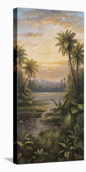 Tropical Lagoon II-Montoya-Stretched Canvas