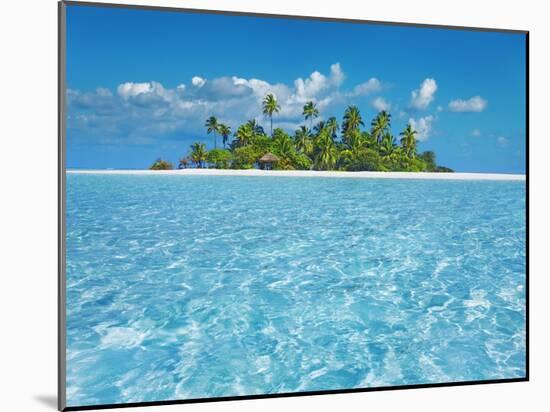 Tropical lagoon with palm island, Maldives-Frank Krahmer-Mounted Giclee Print