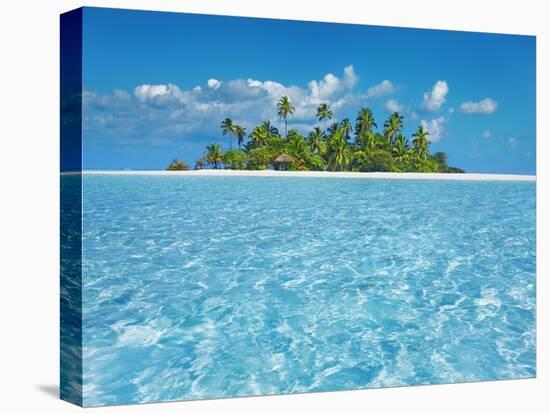 Tropical lagoon with palm island, Maldives-Frank Krahmer-Stretched Canvas