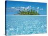 Tropical lagoon with palm island, Maldives-Frank Krahmer-Stretched Canvas