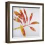 Tropical Landscape II-Brenda Bredvik-Framed Art Print