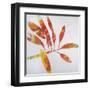 Tropical Landscape II-Brenda Bredvik-Framed Art Print