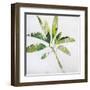 Tropical Landscape IV-Brenda Bredvik-Framed Art Print