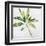 Tropical Landscape IV-Brenda Bredvik-Framed Art Print