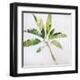 Tropical Landscape IV-Brenda Bredvik-Framed Art Print