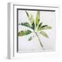 Tropical Landscape IV-Brenda Bredvik-Framed Art Print