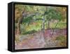 Tropical Landscape, Martinique, 1887-Paul Gauguin-Framed Stretched Canvas