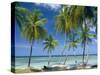 Tropical Landscape of Palm Trees at Pigeon Point on the Island of Tobago, Caribbean-John Miller-Stretched Canvas