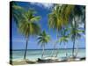 Tropical Landscape of Palm Trees at Pigeon Point on the Island of Tobago, Caribbean-John Miller-Stretched Canvas