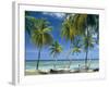 Tropical Landscape of Palm Trees at Pigeon Point on the Island of Tobago, Caribbean-John Miller-Framed Photographic Print