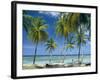 Tropical Landscape of Palm Trees at Pigeon Point on the Island of Tobago, Caribbean-John Miller-Framed Photographic Print