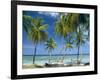 Tropical Landscape of Palm Trees at Pigeon Point on the Island of Tobago, Caribbean-John Miller-Framed Photographic Print