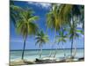 Tropical Landscape of Palm Trees at Pigeon Point on the Island of Tobago, Caribbean-John Miller-Mounted Photographic Print