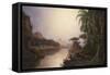 Tropical Landscape-Norton Bush-Framed Stretched Canvas