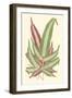 Tropical Leaf Collection IX-Vision Studio-Framed Art Print