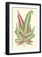 Tropical Leaf Collection IX-Vision Studio-Framed Art Print