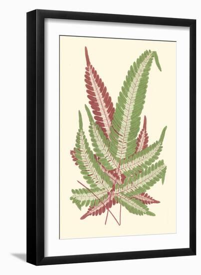 Tropical Leaf Collection IX-Vision Studio-Framed Art Print