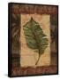 Tropical Leaf I-Todd Williams-Framed Stretched Canvas