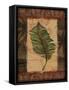 Tropical Leaf I-Todd Williams-Framed Stretched Canvas