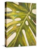 Tropical Leaf I-Patricia Pinto-Stretched Canvas