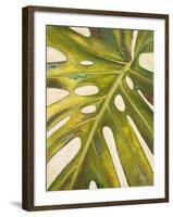 Tropical Leaf I-Patricia Pinto-Framed Art Print