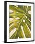 Tropical Leaf I-Patricia Pinto-Framed Art Print