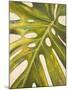 Tropical Leaf I-Patricia Pinto-Mounted Art Print