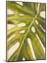 Tropical Leaf I-Patricia Pinto-Mounted Art Print