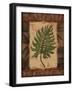 Tropical Leaf II-Todd Williams-Framed Art Print