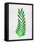 Tropical Leaf II-Jasmine Woods-Framed Stretched Canvas