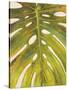 Tropical Leaf II-Patricia Pinto-Stretched Canvas