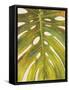 Tropical Leaf II-Patricia Pinto-Framed Stretched Canvas