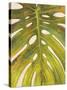 Tropical Leaf II-Patricia Pinto-Stretched Canvas