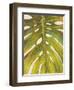 Tropical Leaf II-Patricia Pinto-Framed Art Print