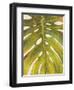 Tropical Leaf II-Patricia Pinto-Framed Art Print