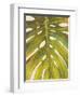 Tropical Leaf II-Patricia Pinto-Framed Art Print