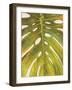 Tropical Leaf II-Patricia Pinto-Framed Art Print