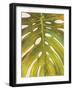 Tropical Leaf II-Patricia Pinto-Framed Art Print