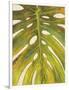 Tropical Leaf II-Patricia Pinto-Framed Art Print