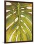 Tropical Leaf II-Patricia Pinto-Framed Art Print