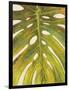 Tropical Leaf II-Patricia Pinto-Framed Art Print