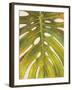 Tropical Leaf II-Patricia Pinto-Framed Art Print