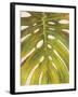 Tropical Leaf II-Patricia Pinto-Framed Art Print