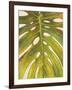 Tropical Leaf II-Patricia Pinto-Framed Art Print