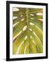 Tropical Leaf II-Patricia Pinto-Framed Art Print