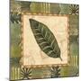 Tropical Leaf III-Charlene Audrey-Mounted Art Print