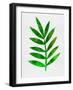 Tropical Leaf III-Jasmine Woods-Framed Art Print